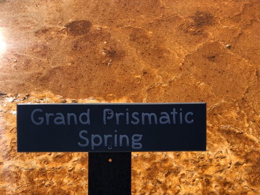 Biscuit Basin by null