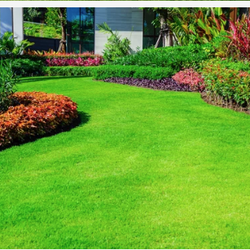 Mwa Lawn Care