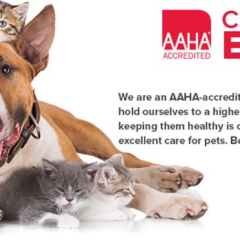 Potomac Animal Hospital - Veterinarians Near Me - Potomac, Maryland Potomac Animal Hospital - Veterinarians Near Me - Potomac, Maryland