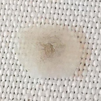 Hemenway's Restaurant - Found in Rice. Did not want to eat this! - Seafood Near Me - Providence, Rhode Island Hemenway's Restaurant - Found in Rice. Did not want to eat this! - Seafood Near Me - Providence, Rhode Island