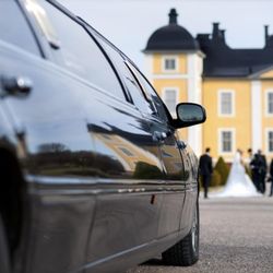 OLAM Limousine