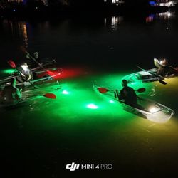 Sharkey's Tours - Clear Kayak LED Night Tour in Palm Harbor
