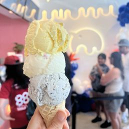 Black Sesame Ice Cream