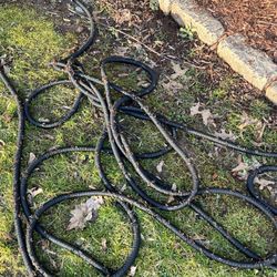 Global Pest Solutions - Pests on hose ... zoom in to see details