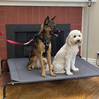 First Class Boarding &Training - Pet Boarding Near Me - Diamond Bar, California First Class Boarding &Training - Pet Boarding Near Me - Diamond Bar, California