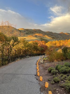 Red Butte Garden and Arboretum by null