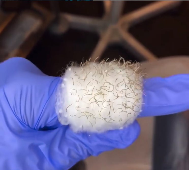 UPROOT HAIR REMOVAL Updated August 2024 Request an Appointment