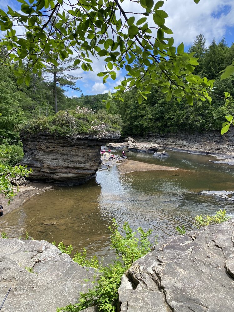 Swallow Falls State Park Logo