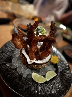 Flecha Cantina by null