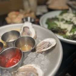 Gemma Fish + Oyster