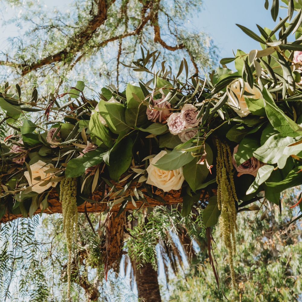 Cherry Blossom Floral Designs - Floral Designers Near Me - Carlsbad, California