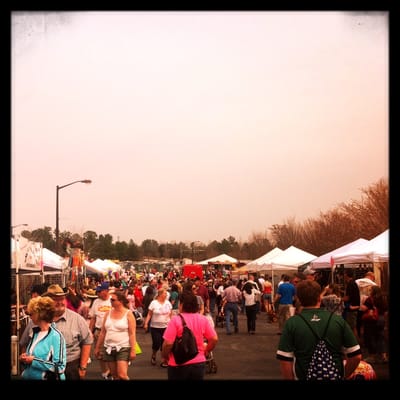 Georgia International Horse Park by null