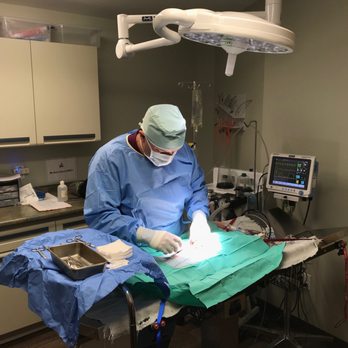 1. Star Hill Veterinary Clinic