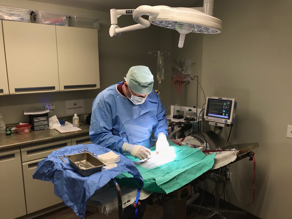 STAR HILL VETERINARY CLINIC Updated September 2024 957 E Hill St