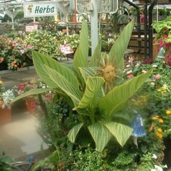 Fahr Greenhouse - One of their specialty baskets