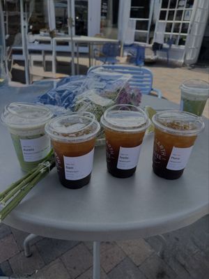 Java Earth Coffee La Jolla by null