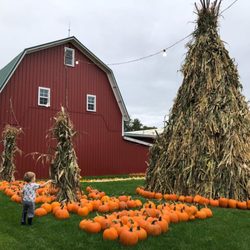 Baumans Farm Market and Greenhouses - The teepee is up and pumpkins are out. Happy Fall!