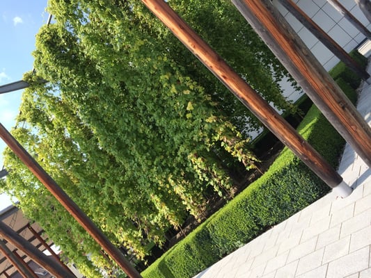 Deutsches Hopfenmuseum by null