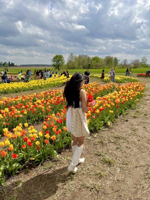 Kuipers Family Farm by null