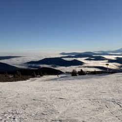 Mt. Hood Meadows