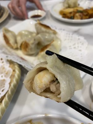Dumpling House by null