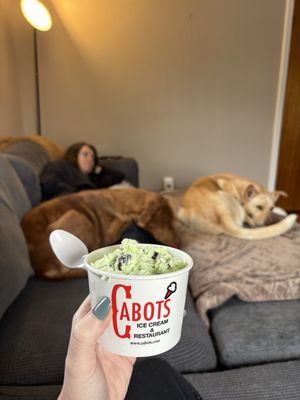 Cabot's by null