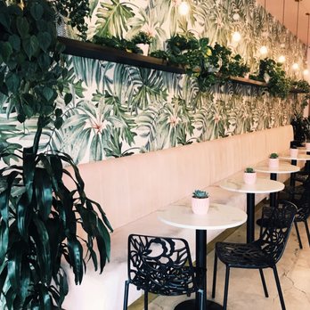 Holy Matcha - Tea Rooms Near Me - San Diego, California Holy Matcha - Tea Rooms Near Me - San Diego, California