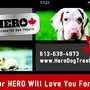 Photo of Healthy Pets HQ