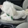 Photo of Dog Salon Kahala
