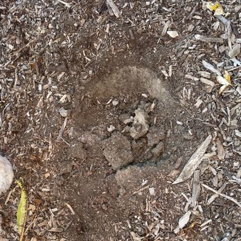 Euro Termite - Pest Control Near Me - Garden Grove, California