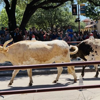 The Stockyards - Local Flavor Near Me - Fort Worth, Texas The Stockyards - Local Flavor Near Me - Fort Worth, Texas