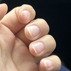 Penguin Nail Spa