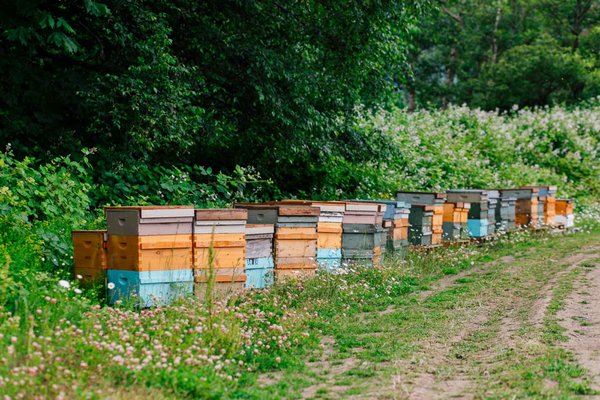 Alluvial Farms by null