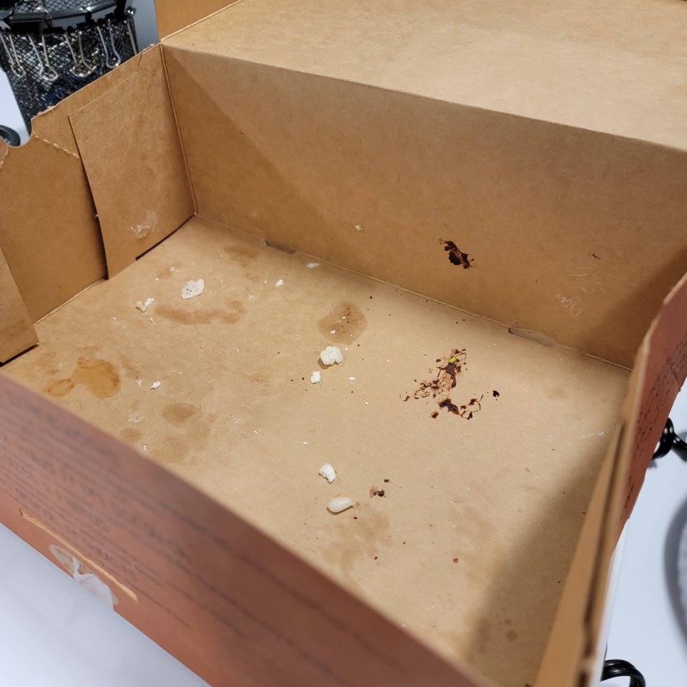 Mighty-O Donuts - This box used to have some great donuts in it but I wrote this review after my team devoured them. - Donuts Near Me - Seattle, Washington Mighty-O Donuts - This box used to have some great donuts in it but I wrote this review after my team devoured them. - Donuts Near Me - Seattle, Washington