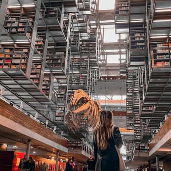Biblioteca Vasconcelos - Libraries Near Me - Ciudad de México, DIF Biblioteca Vasconcelos - Libraries Near Me - Ciudad de México, DIF