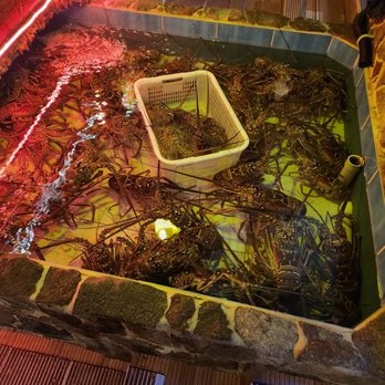 Skip Jack's - Fresh Lobster pen - Restaurants Near Me - Sint Maarten, New Hampshire