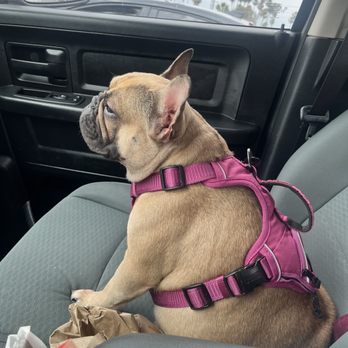 SoCal K9 Clinic - Veterinarians Near Me - Riverside, California SoCal K9 Clinic - Veterinarians Near Me - Riverside, California