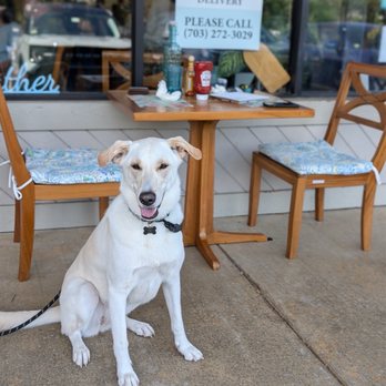 Chloez Cafe - They set up a table outside for us - Breakfast & Brunch Near Me - Fairfax Station, Virginia