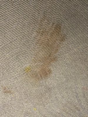 Springhill Suites By Marriott Norfolk Virginia Beach 145 Photos 45 Reviews Hotels 6350 Newtown Rd Norfolk Va United States Phone Number Yelp