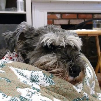 loma linda animal hospital hours