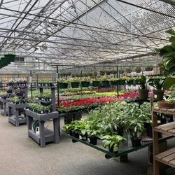 99 Nursery & Florist