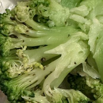 Chili's - Broccoli - American Near Me - High Point, North Carolina