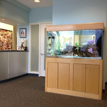 Pedodontic Associates - Pearlridge - Nemo. They have always had a salt water tank with most of the fish from Nemo. - Pediatric Dentists Near Me - Aiea, Hawaii Pedodontic Associates - Pearlridge - Nemo. They have always had a salt water tank with most of the fish from Nemo. - Pediatric Dentists Near Me - Aiea, Hawaii