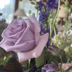 Penguin Florist & Flower Delivery