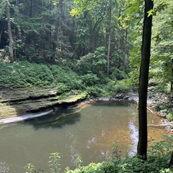 Piney Falls