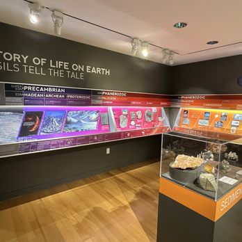 Morris Museum - Museums Near Me - Morristown, New Jersey