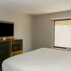 Days Inn by Wyndham Farmville - Guest room