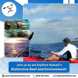 Maui Adventure Tours Kayak