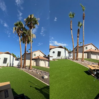 Valle Verde Lawn Care - Palm Tree Trimming - Landscaping Near Me - Phoenix, Arizona Valle Verde Lawn Care - Palm Tree Trimming - Landscaping Near Me - Phoenix, Arizona