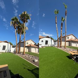 Valle Verde Lawn Care - Palm Tree Trimming